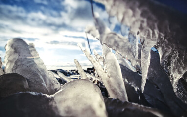 ice icicles in the ice world