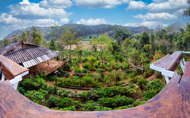 Green landscape in Northern Thailand with blue cloudy skies