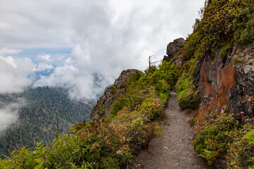 Charlie's Bunion on the Appalachian Trail in the Great Smoky Mountains