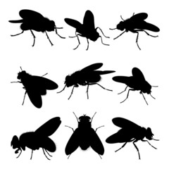 Fly silhouettes. Good use for symbol, logo, mascot, icon, sign, or any design you want.