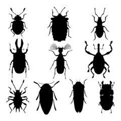 Insect animal silhouettes. Good use for symbol, logo, mascot, icon, sign, or any design you want.