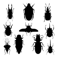 Insect silhouettes. Good use for symbol, logo, mascot, icon, sign, or any design you want.