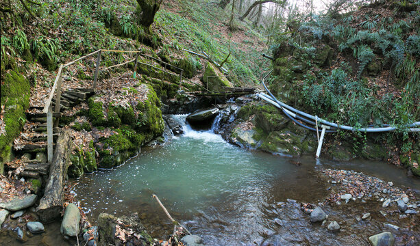 Clean river in the forest. Lerik. Masalli region. Azerbaijan.