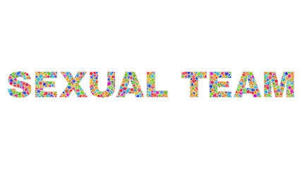 SEXUAL TEAM caption with bright mosaic flat style. Colorful vector illustration of SEXUAL TEAM caption with scattered star elements and small circle dots. Festive design for decoration titles.