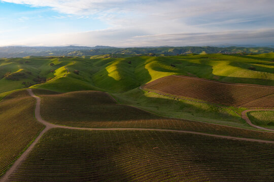 Morning sunlight shines on hills in the Tri-valley region of Northern California, just east of San Francisco Bay. This beautiful area, Dublin, Pleasanton and Livermore, is home to many wineries.