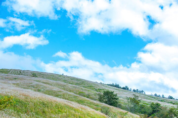 Fototapeta premium landscape with blue sky