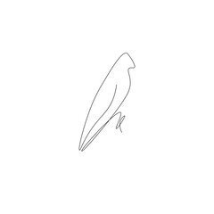 Bird line drawing vector illustration