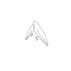 Bird line drawing vector illustration