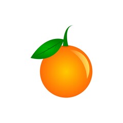 Orange Fruit Vector. Segmented orange on a white background. Fresh fruit illustration.