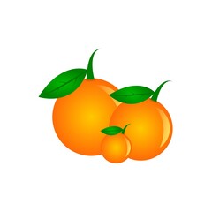 Orange Fruit Vector. Segmented orange on a white background. Fresh fruit illustration.