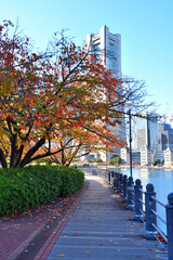 横浜みなとみらい汽車道の紅葉