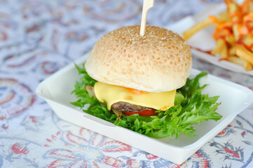 burger or pork burger or hamburger or beef burger , bun.