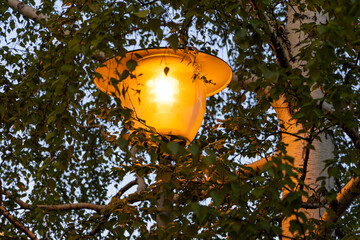 Orange beautiful street lighting lantern against the birch tree background is in a park in spring