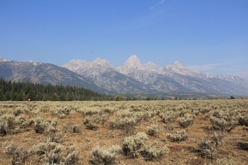Grand Tetons 