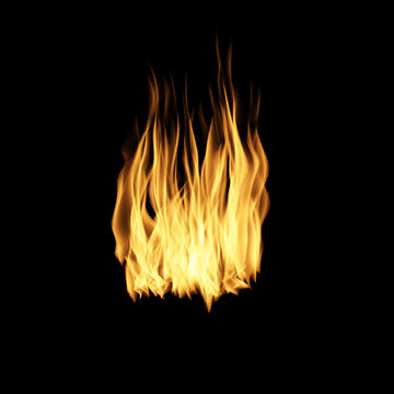 Fire flames on black background.