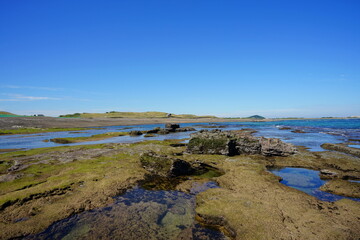 a beautiful moss rock beach