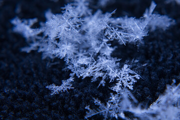雪の結晶 / Snow Crystal