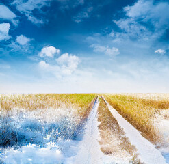 Fototapety na wymiar - Fototapeta24.pl