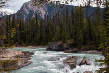 River in Yoho National Park Alberta Canada 