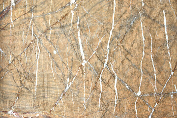Marble tiles from natural stone