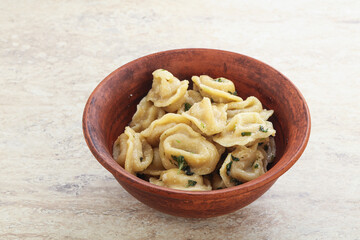 Russian boiled dumplings with meat