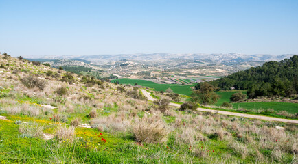 Ella valley in Israel. Wide angle view of the valley of Elah and the Judea mountains in the distance. - obrazy, fototapety, plakaty