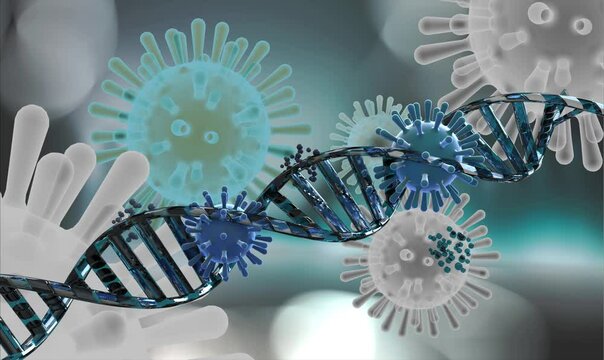 rotating dna strand with intermitting covid 19 like virus corona abstract animated 3D rendering