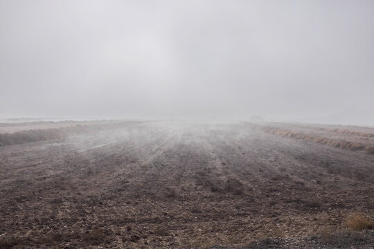 Champ cultivé dans la brume