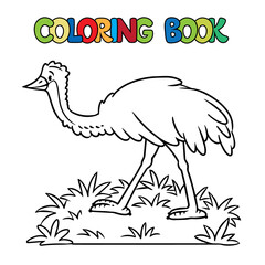 Funny emu ostrich. Animals coloring book series