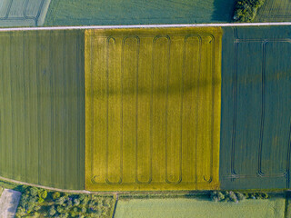 Aerial drone view of yellow rape seed field and other fields in an agricultural area close to Frankfurt, Hessen