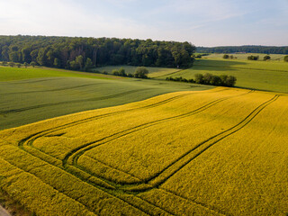 Aerial drone view of yellow rape seed field and other fields in an agricultural area close to Frankfurt, Hessen