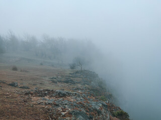 Fototapeta na wymiar Fog & Mountain