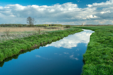 A calm little river and wild meadows