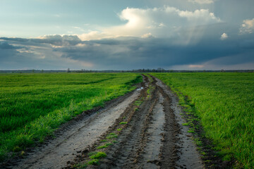 Muddy road through green fields and cloud on the sky