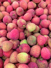 Litchi