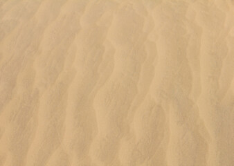 Rippled sand on the bottom of Aral Sea in Uzbekistan, Central Asia