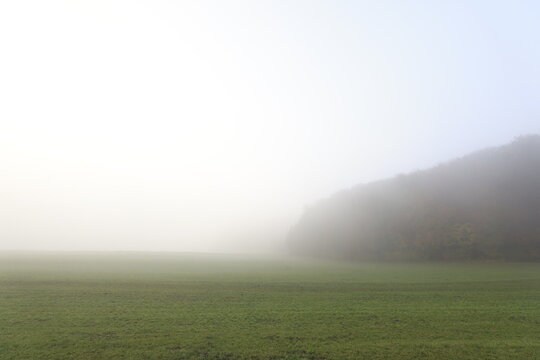 schlechte sicht wegen nebel im herbst