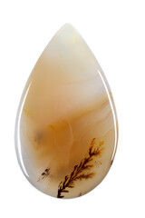 macro mineral stone Agata muschiata on a white background close-up