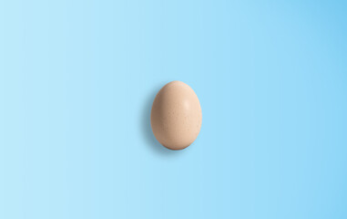 Chicken egg. Egg concept, lots of protein. Eating scrambled eggs, eggshells.