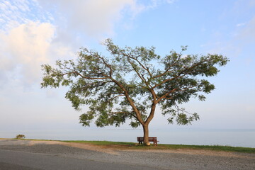 びわ湖とベンチ