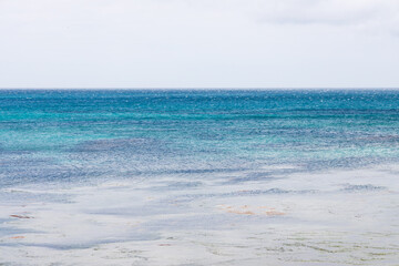 夏の礼文島風景