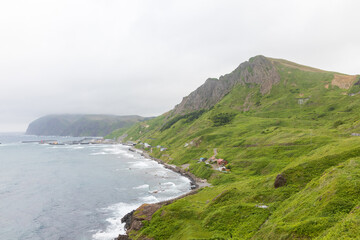 夏の礼文島風景