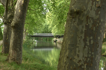 Canal du Midi Toulouse