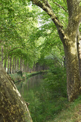 Canal du Midi Toulouse