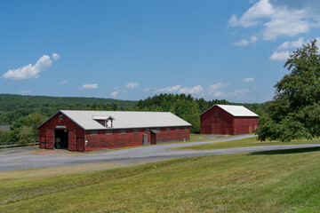 Fototapeta na wymiar Two Red Barns on Grassy Field