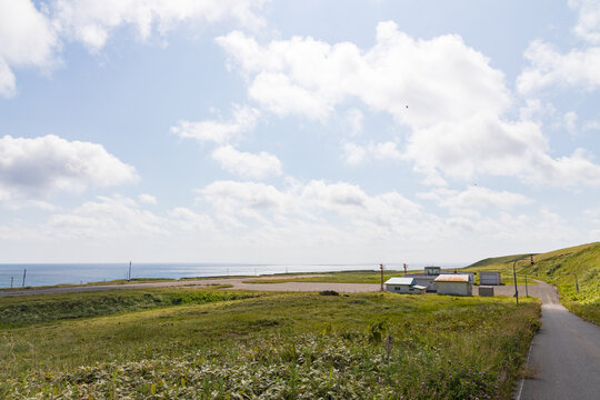 夏の礼文島風景