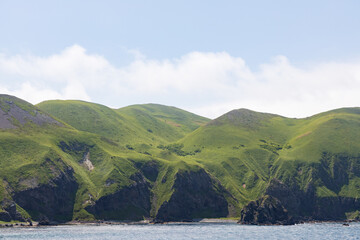 夏の礼文島風景