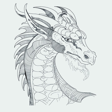 vector image of a dragon