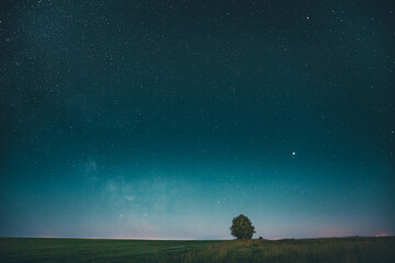 Blue Night Starry Sky Above Lonely Tree In Meadow. Glowing Stars And Wood In Summer Countryside Landscape.
