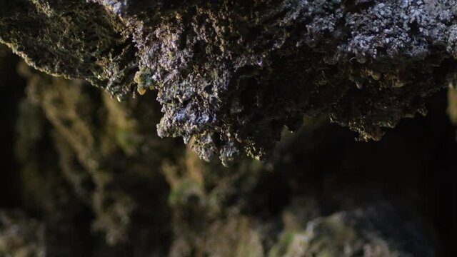 Water drops sliding through a rock in an cave